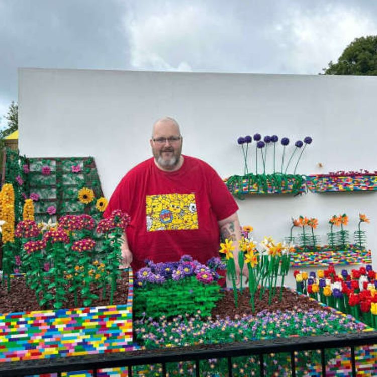 cover art for Limerick bloom festival winner