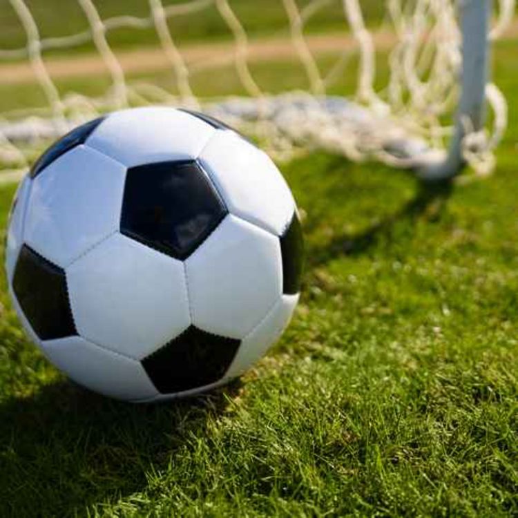 cover art for Limerick's Michael Dike signed to Brighton