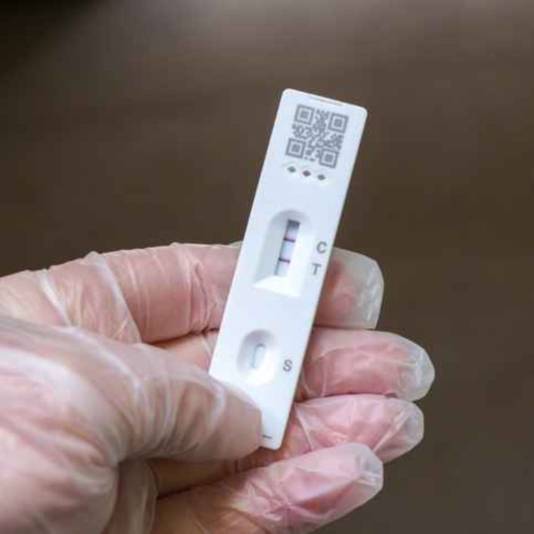 cover art for Eleanor's long covid story