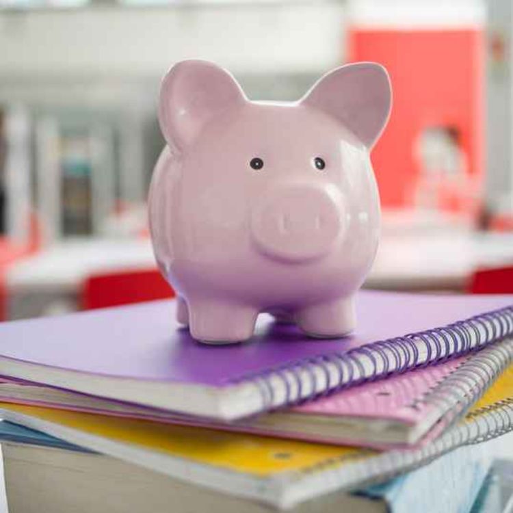 cover art for School voluntary contribution fees may need to increase