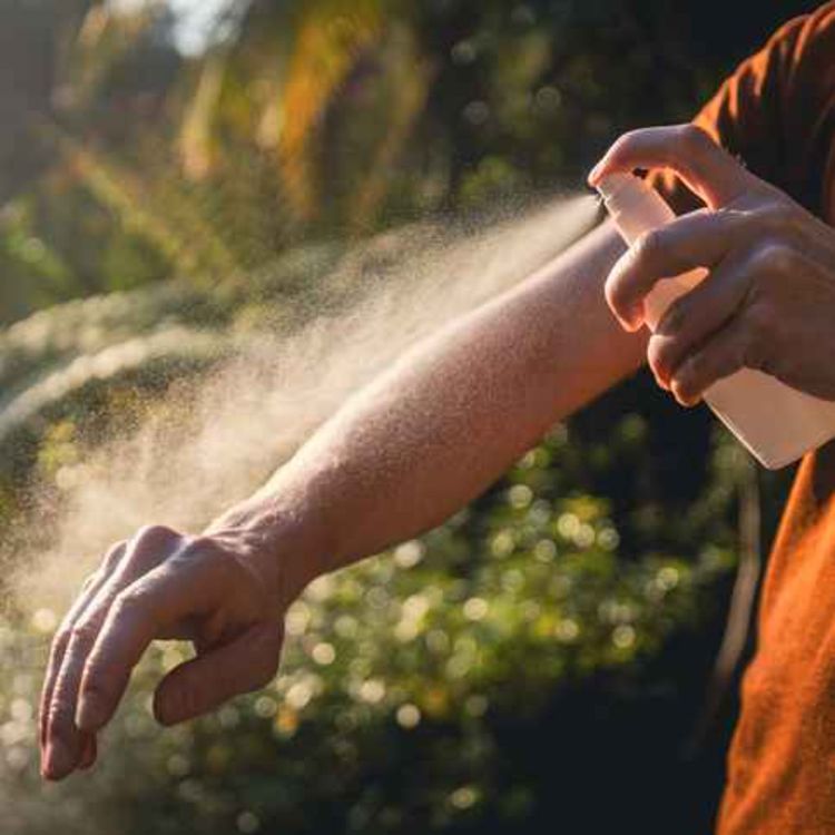 cover art for How to prevent insect bites while travelling abroad