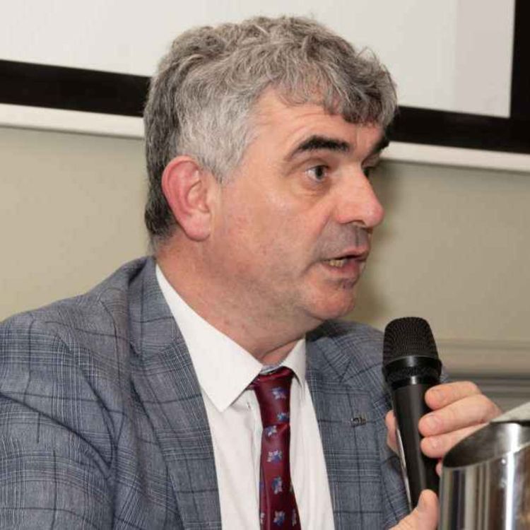 cover art for Limerick TD on reaction to his comments on Irish cultural identity