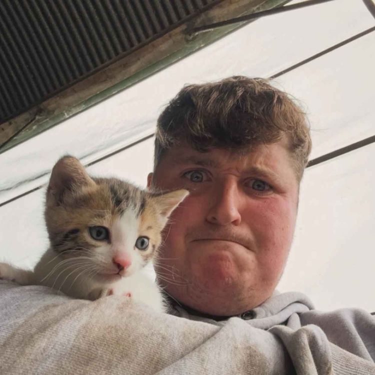 cover art for A young Limerick farmer's growing popularity on TikTok
