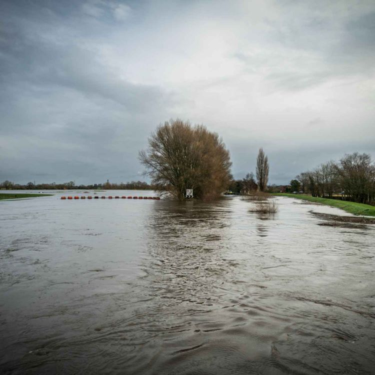 cover art for Limerick Councillor on Dromcollogher flooding