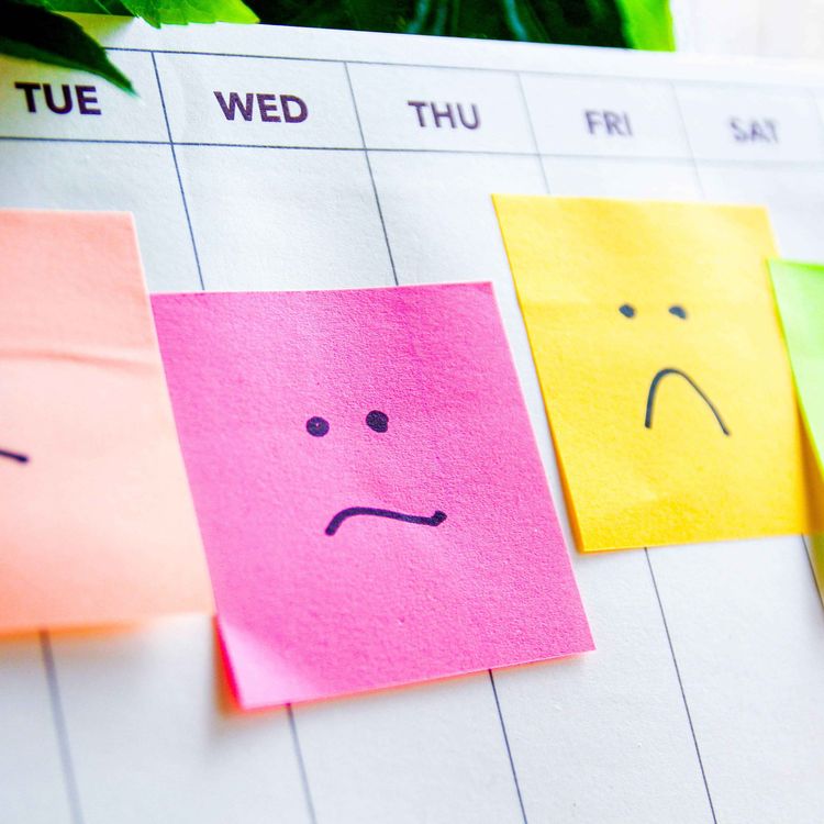 cover art for It's official - a four work day week is good four our health