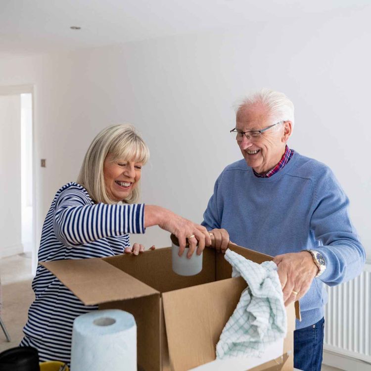 cover art for The Stress and Work that goes into moving