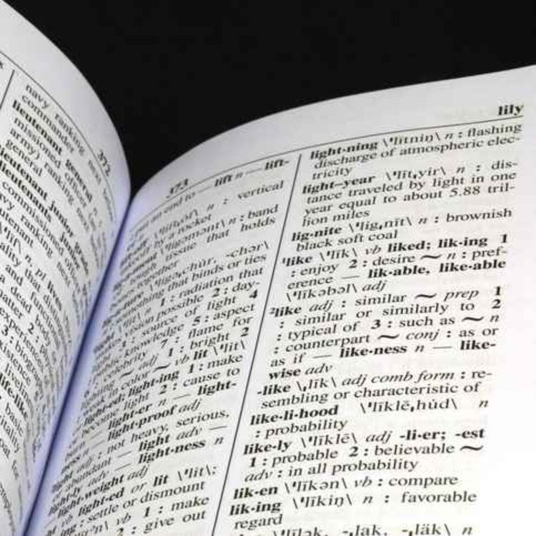 cover art for TikTok modern slang makes it into the Cambridge dictionary