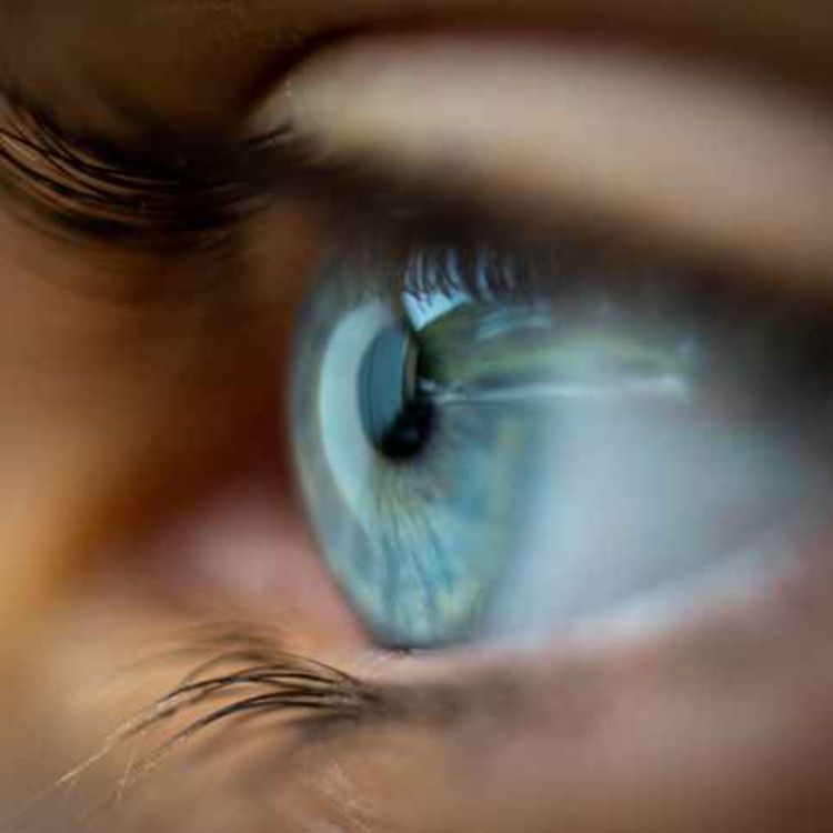 cover art for Can you see visual images when you close your eyes?