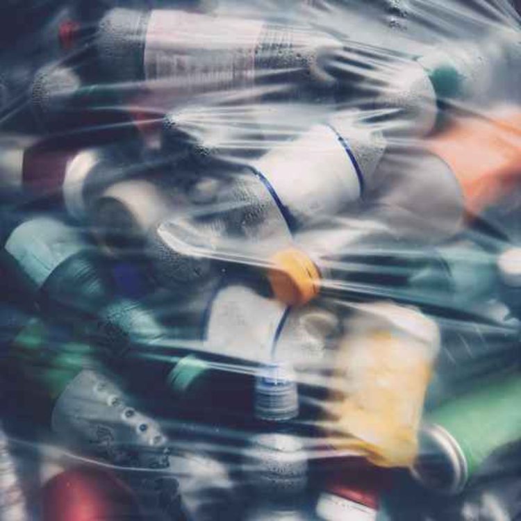 cover art for Households get photos of their rubbish sent back to them from bin company