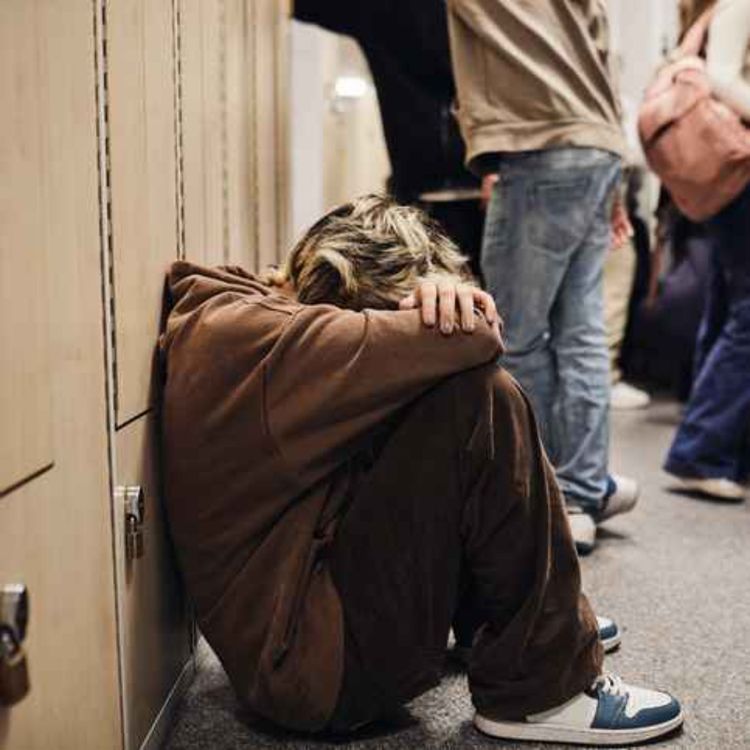 cover art for Has bullying become more complex than before and how do we approach it?