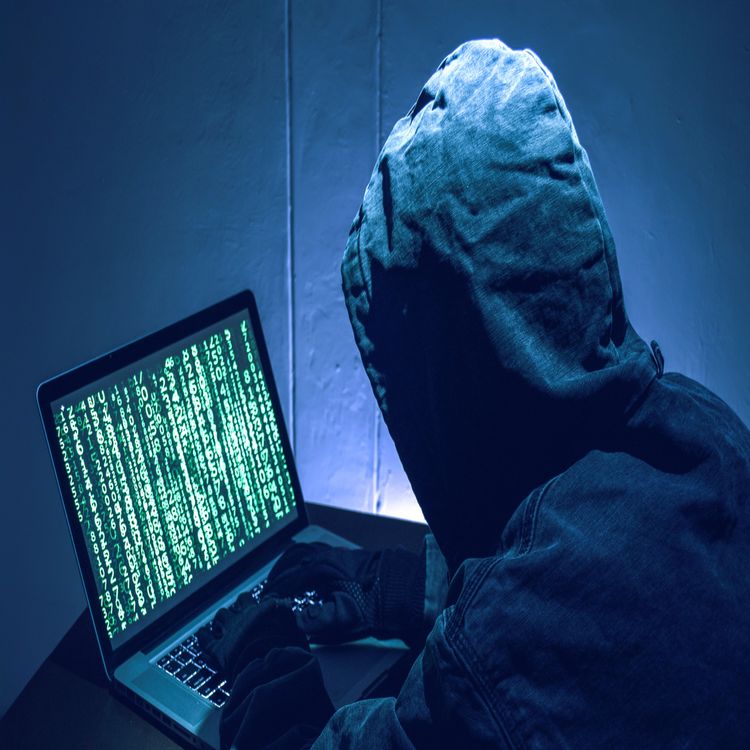 cover art for Scammers Use Fake Online Businesses to Target Shoppers