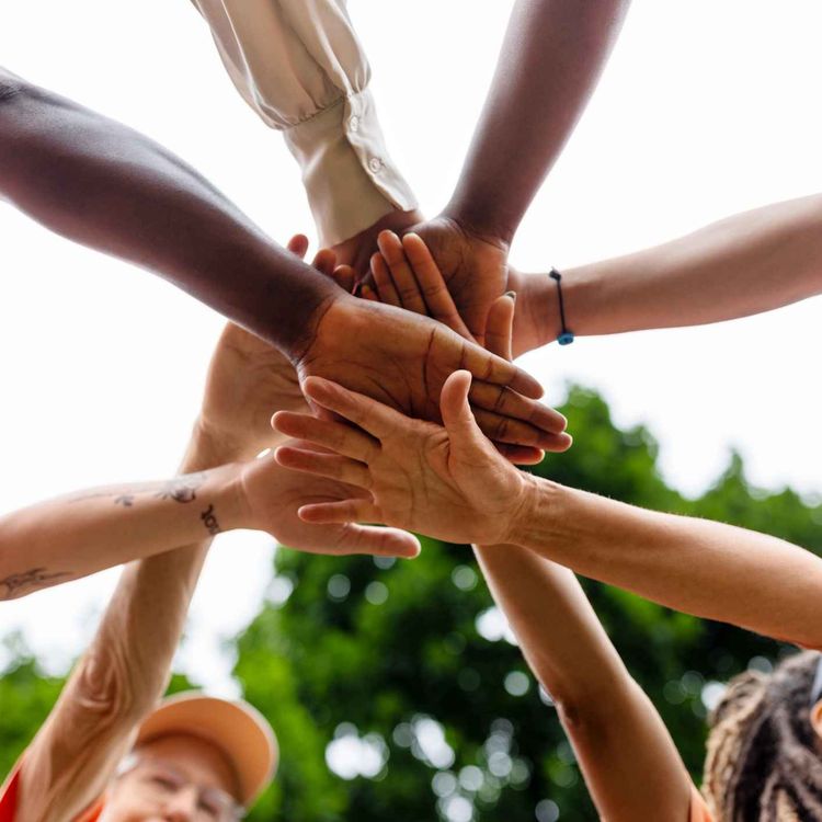 cover art for Volunteers wanted for St Vincent de Paul Limerick