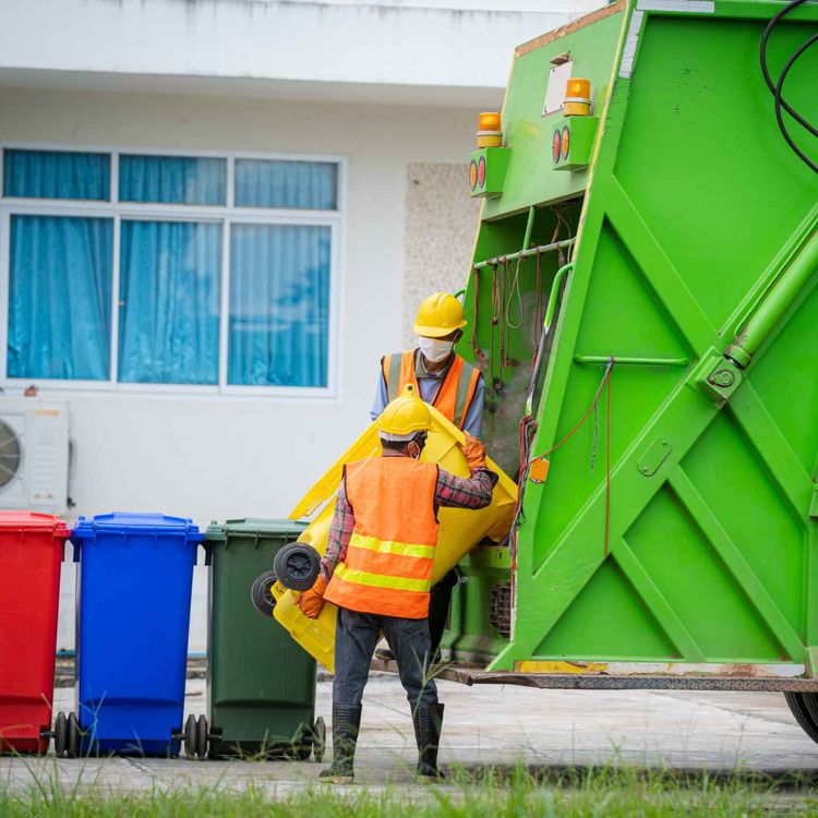 cover art for Radical shake up of bin collection service could be on the way
