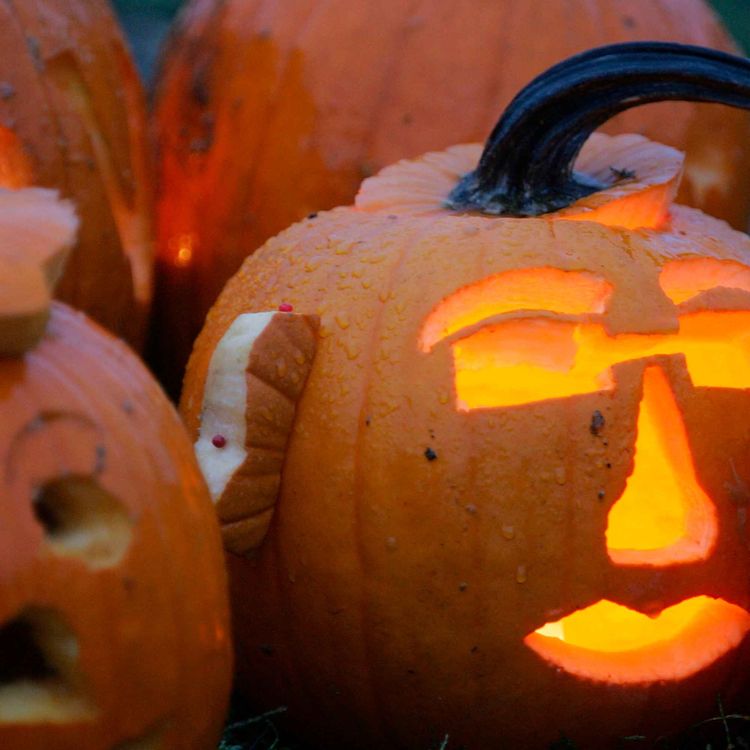 cover art for Pumpkin Perfection - Our Best Recipe Ideas