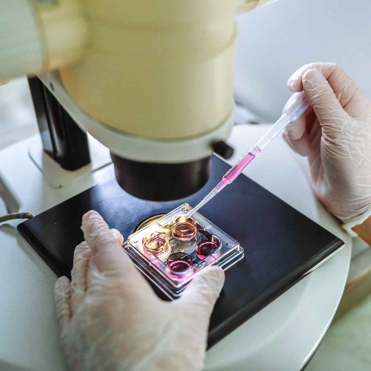 cover art for When a DNA test changes your world