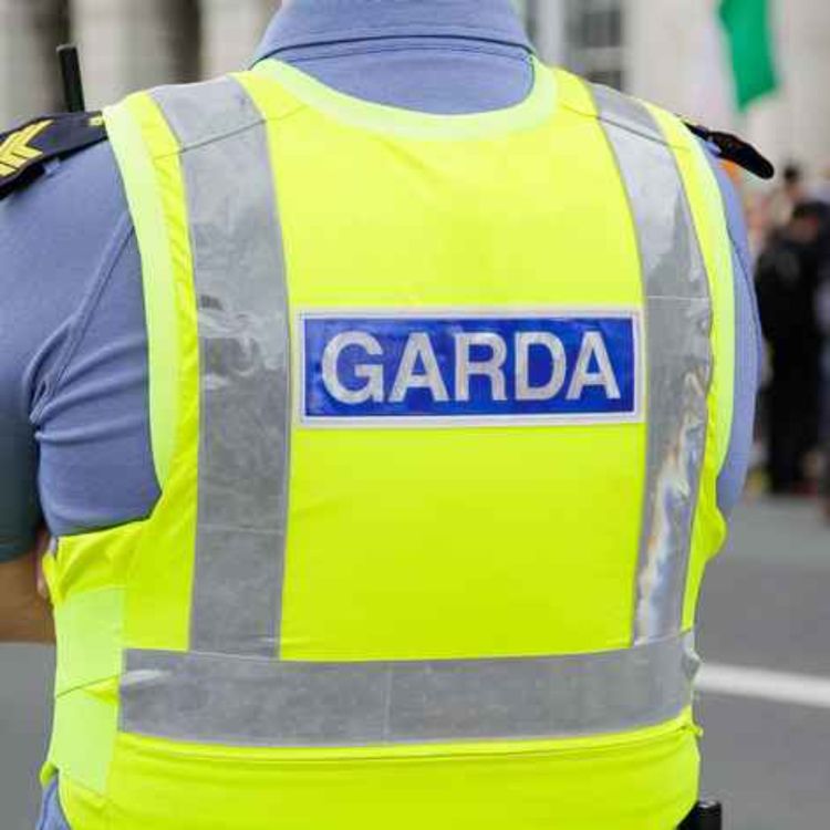 cover art for Limerick garda retires after 30 years of service