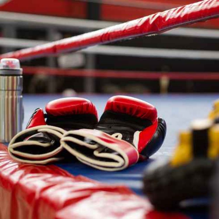 cover art for New boxing book features Limerick greats and well known household names