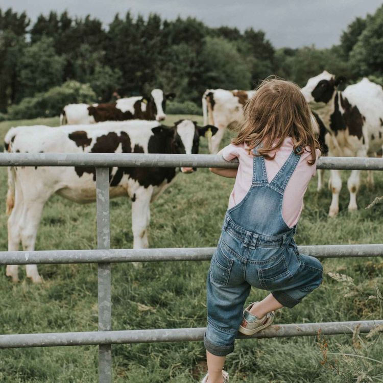 cover art for Are we at risk of losing the heart beat of rural Limerick?