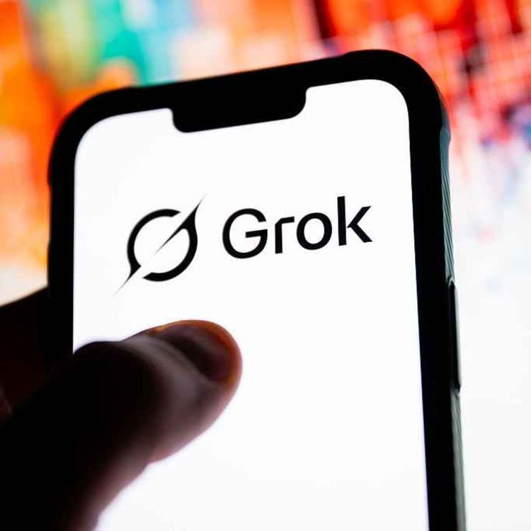 cover art for  Reaction to Grok from a number of experts