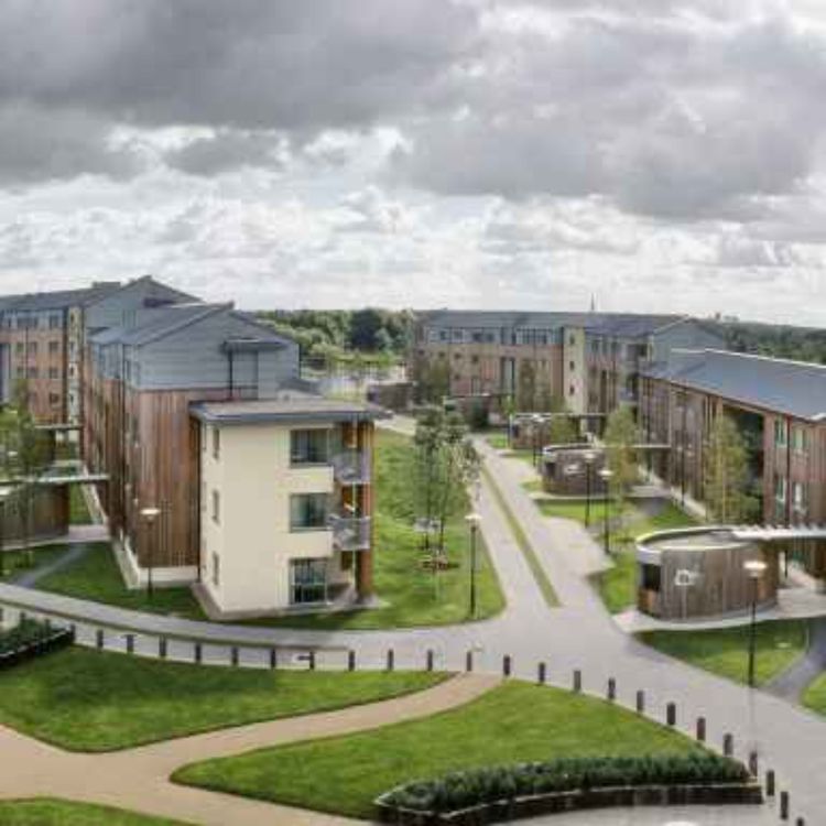 cover art for A bit of positivity around Limerick property prices and availability