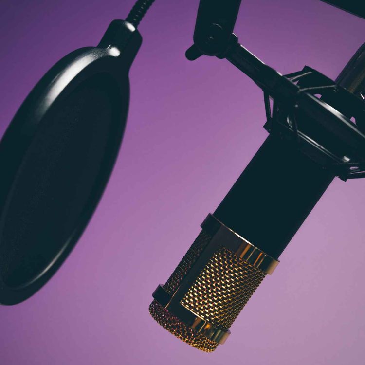 cover art for Limerick musician gives voice to the stories of the Island Field through his music