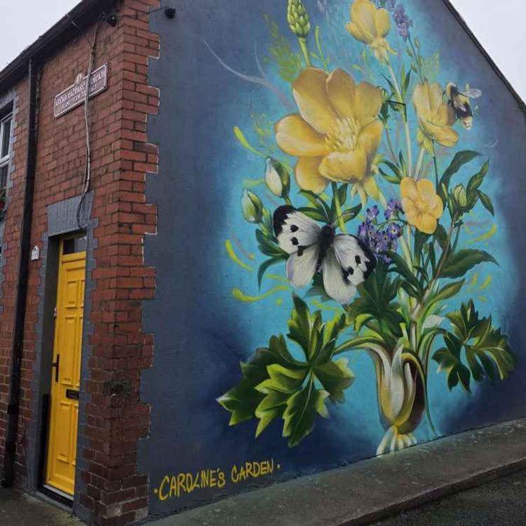 cover art for Limerick Lives looking at the unveiling of Caroline's Wall, on Kings Island