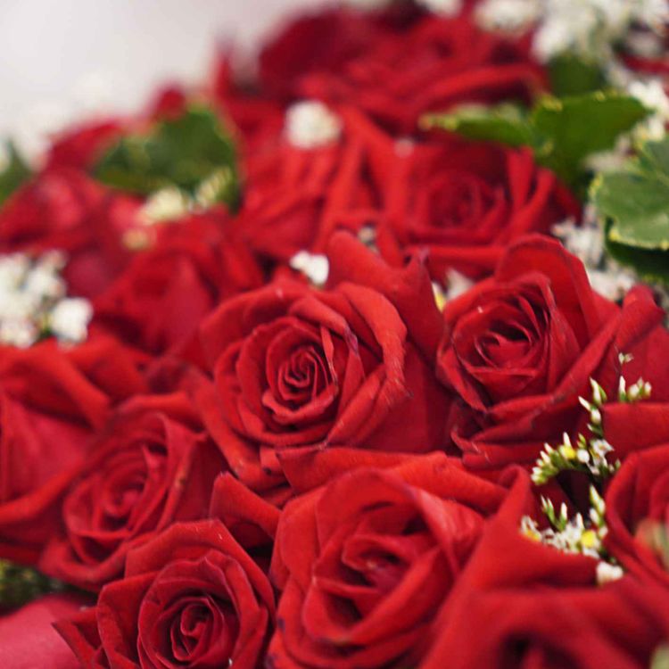 cover art for Limerick Soprano talks ahead of her Valentine's gig