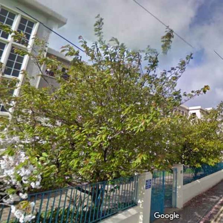 cover art for Laurel Hill Limerick celebrates 180th anniversary