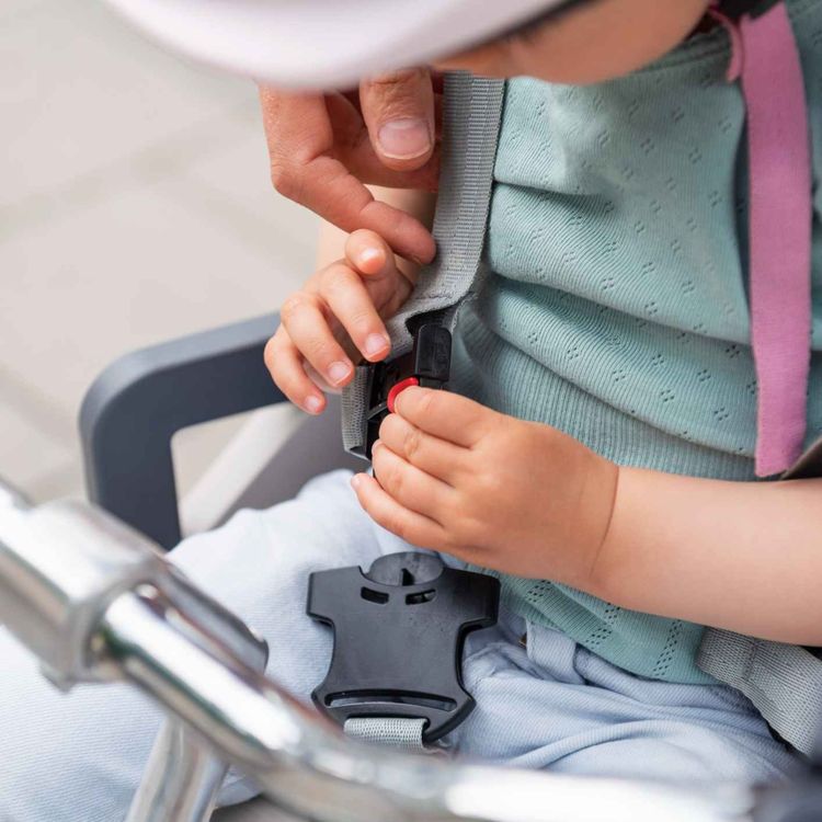 cover art for Warning over child car seat "add on" accessories