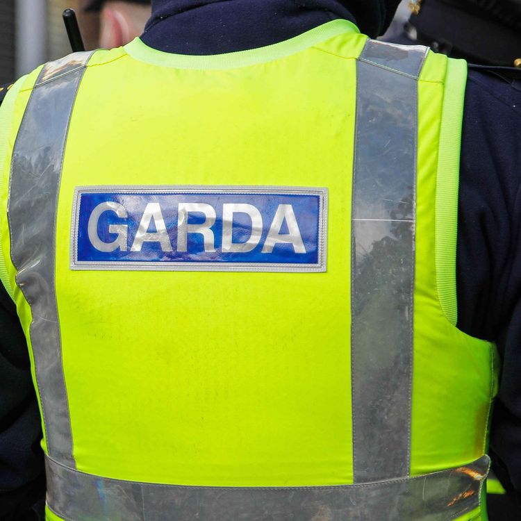 cover art for The impact of Limerick garda trial raised at Oireachtas committee meeting by Deputy Alan Kelly