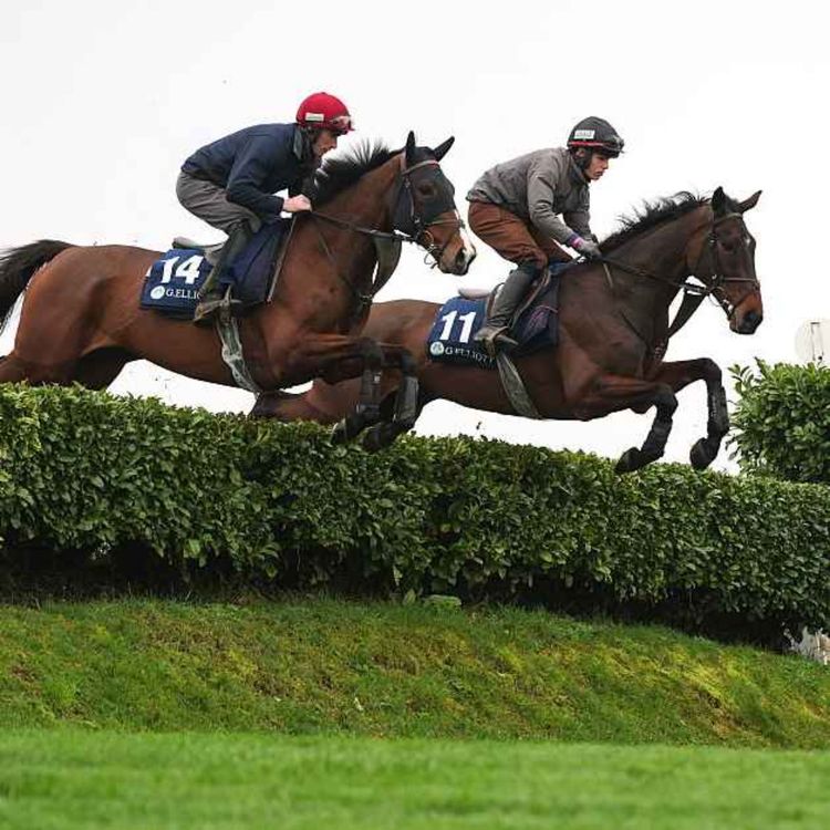 cover art for Cheltenham preview Day 1