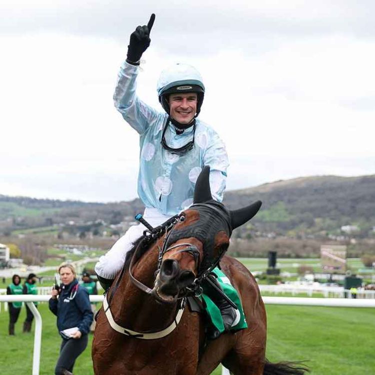 cover art for Cheltenham Day 2