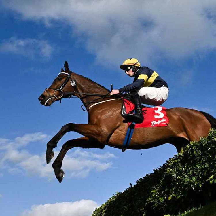 cover art for Cheltenham Day 3