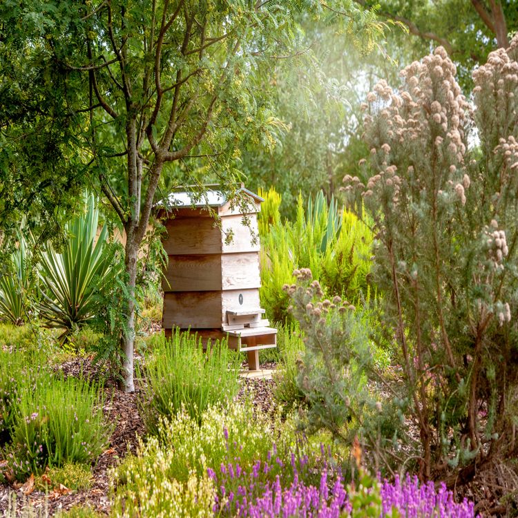 cover art for New TG4 series to revive wildlife