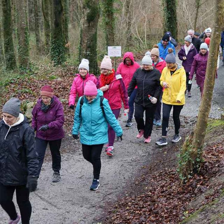cover art for Limerick community initiative Walking Buddies welcomes you