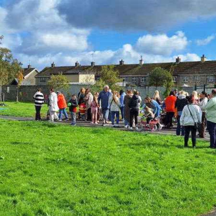 cover art for Limerick Councillors vote to prevent housing units in Boro Park