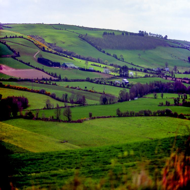 cover art for  “From Nowhere, Going Nowhere?" A Famine Roads Lecture, comes to Limerick