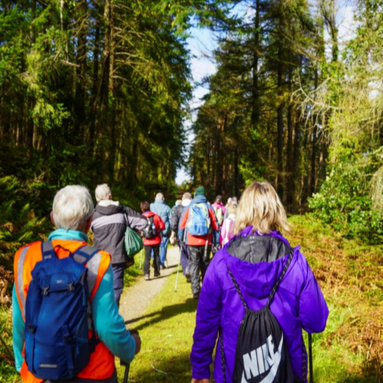 cover art for Ballyhoura Launches Guided Walk Series