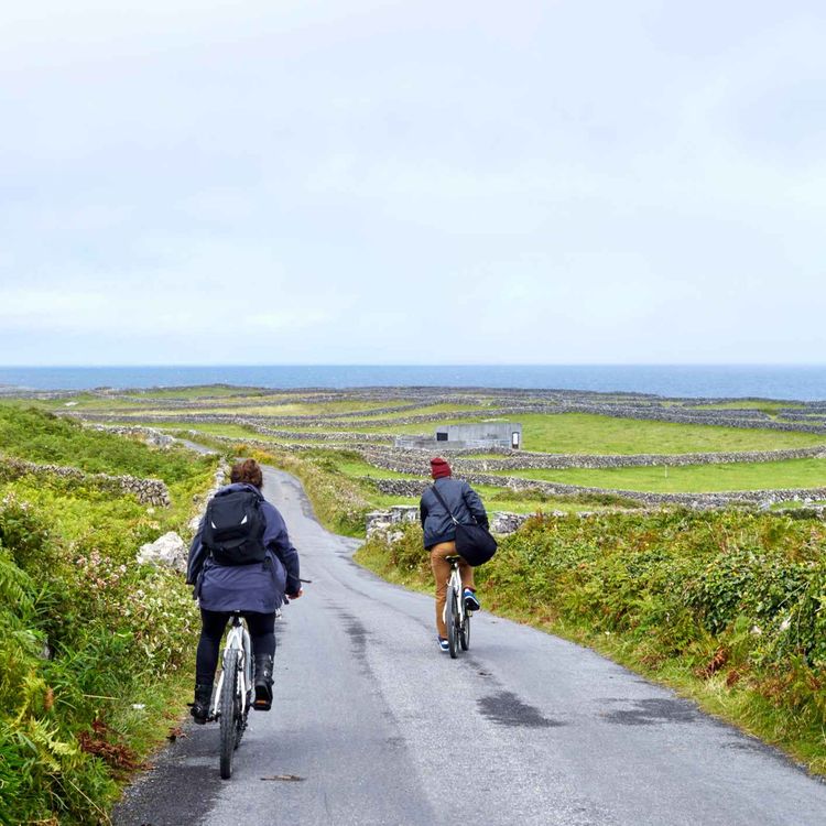 cover art for Is road safety failing Limerick cyclists?
