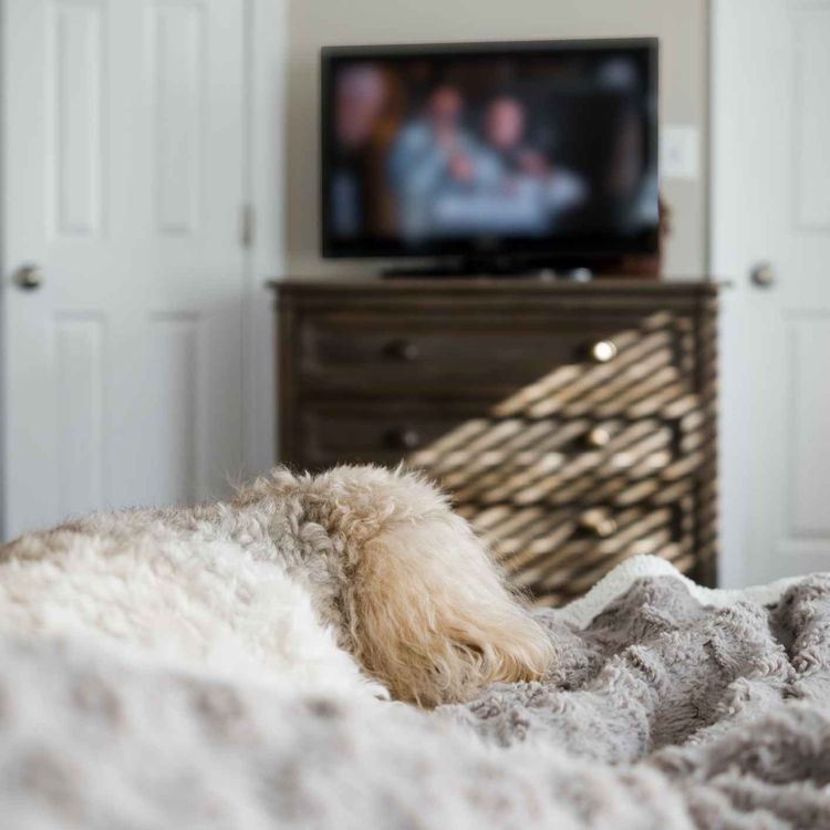 cover art for This week's TV and film recommendations from Aisling, Anne Marie and Caleb