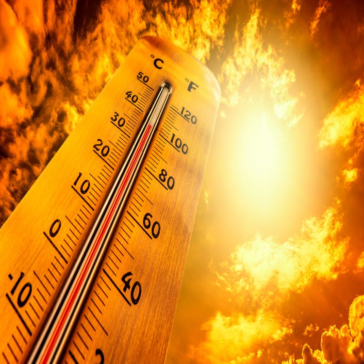 cover art for Record-breaking temperatures followed by days of downpours - what more can we expect for the weather this summer?