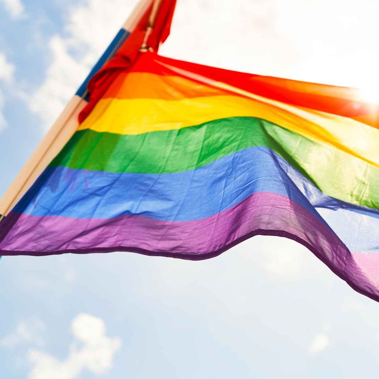 cover art for Limerick TD on the challenges the LGBTQ+ community face