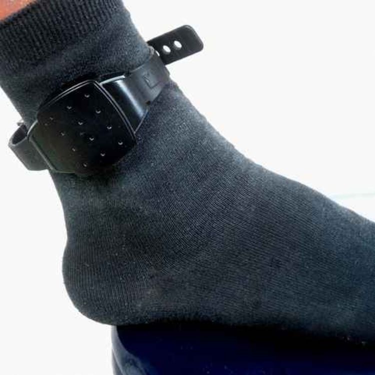 cover art for Calls for electronic tagging pilot in Limerick