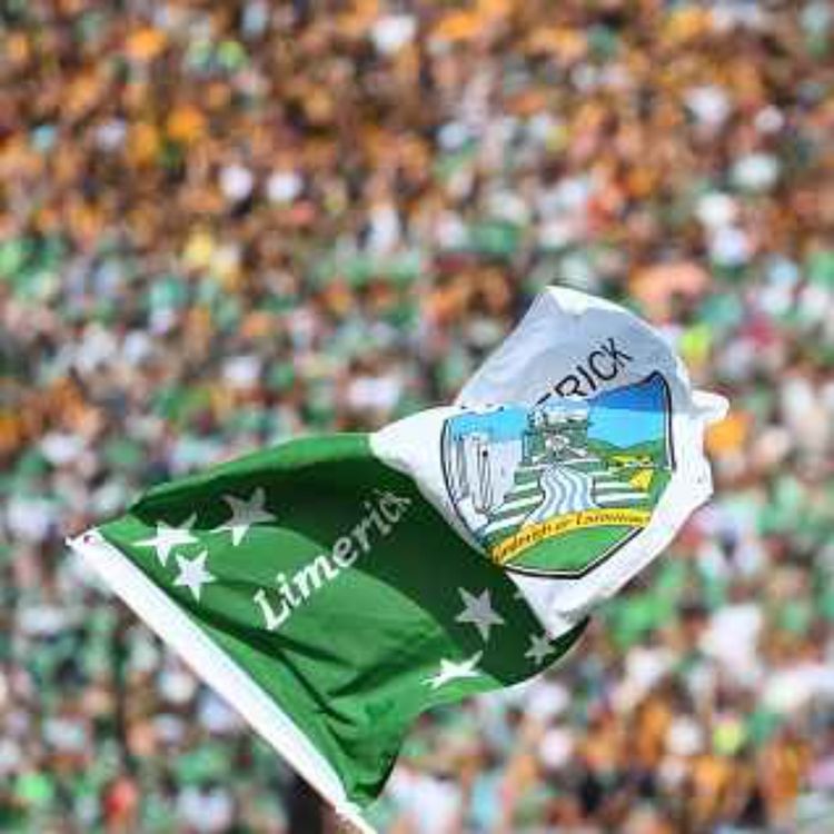 cover art for Limerick hurling fan famous for his decorative boat, chats ahead of the game