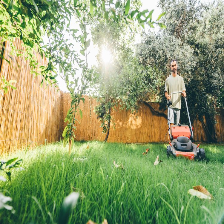 cover art for Maintaining your garden during the hosepipe ban