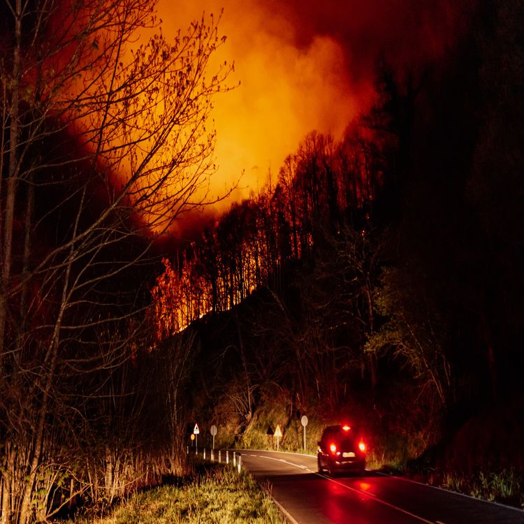 cover art for Have the wildfires in Europe postponed your travel plans?