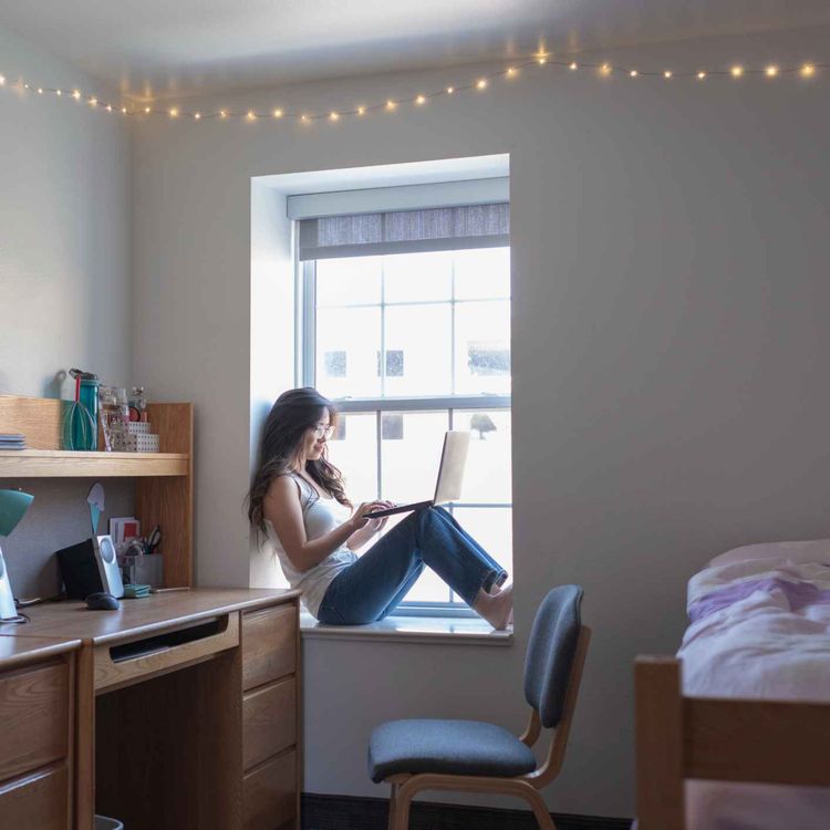 cover art for How are students looking for college accommodation in Limerick faring?