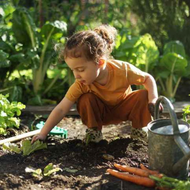 cover art for Turn your child into an environmental champion!