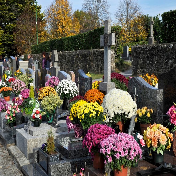 cover art for Limerick man says belongings stolen from his family grave