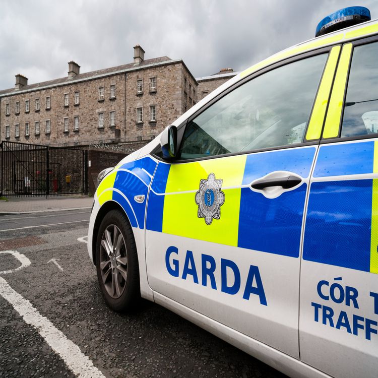 cover art for Gardaí recover body of suspect in Limerick murder